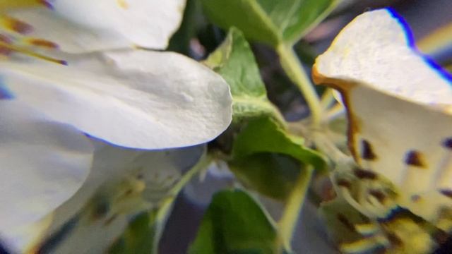 Relax. Macro