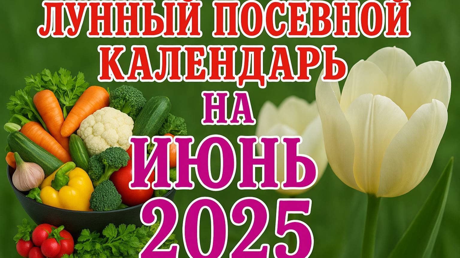 🍅ЛУННЫЙ ПОСЕВНОЙ КАЛЕНДАРЬ НА ИЮНЬ 2025