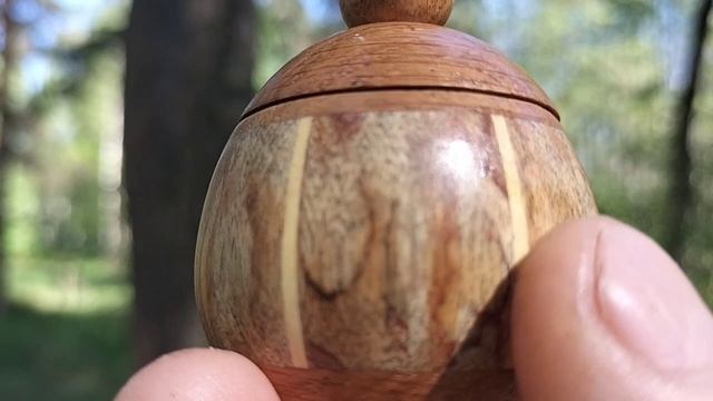 Шкатулка в весеннем лесу на сосне с развилкой