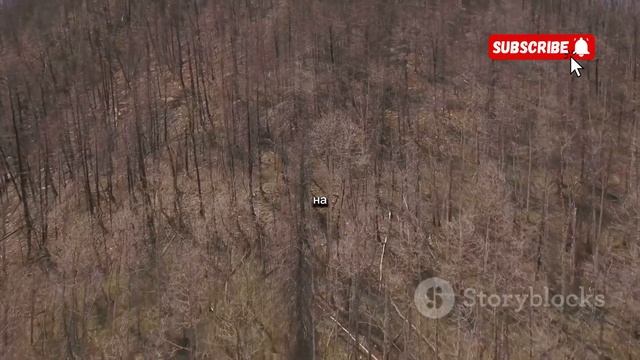 Тунгусский метеорит: Загадки и тайны величайшей катас