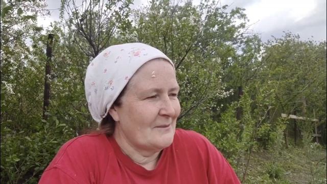 24.05.2025 Всё! Скосила! Ветер...