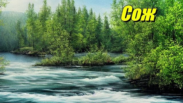 Сож
