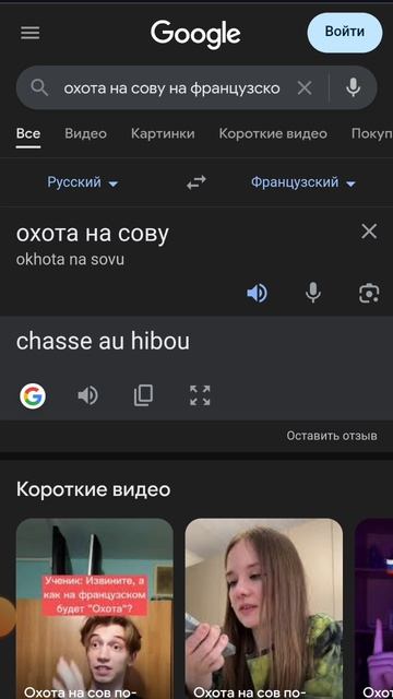 охота на сову