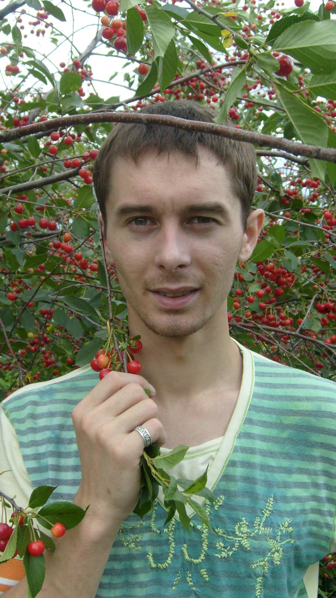 Вишнёвое счастье в моём саду.