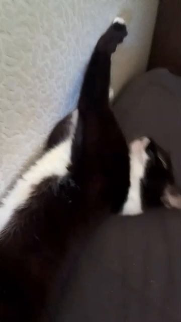1000006044.mp4