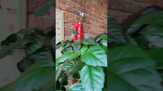 Абхазия назад в прошлое....