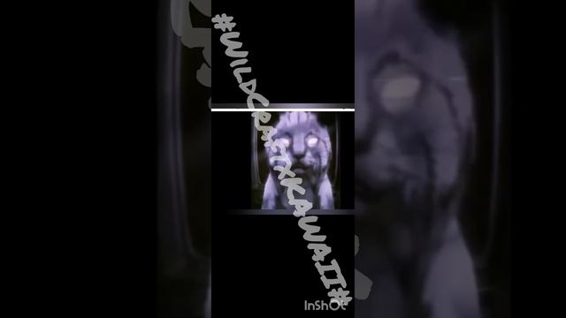 Тт подборка часть #1