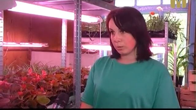 Планета ZOO. Квітники Миколаївського зоопарку