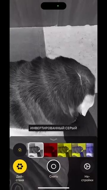 ХИХИ 73