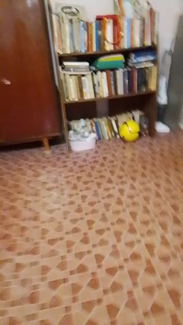 Лиза в школе равновесия