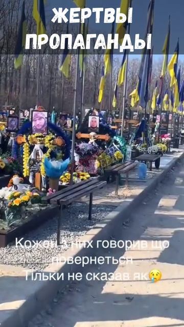 Политический курс свинорады направлен на все чтобы избавились от всех