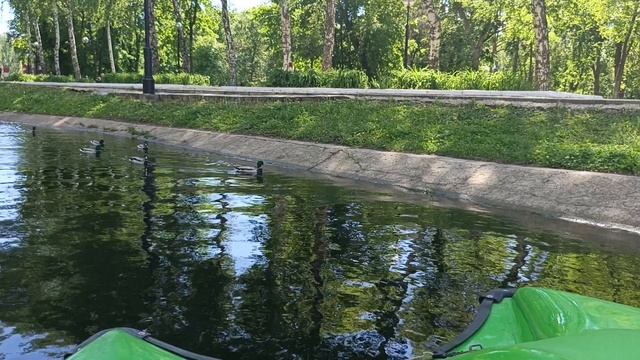 Прогулка на катамаране в парке им.Гагарина