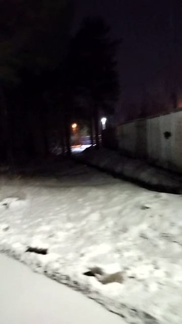 PXL_20250409_043952436