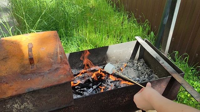 пикник маршмеллоу готовлю на костре