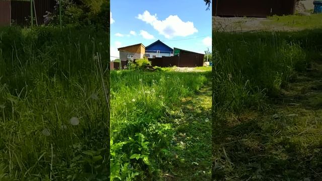 VID_20220614_131501