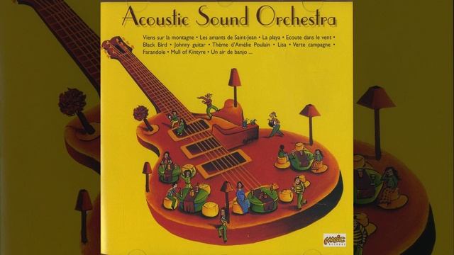 Acoustic Sound Orchestra - Woman in Love