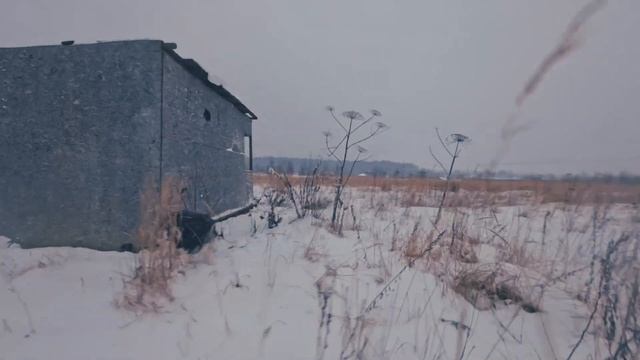 Прогулка с собакой | FPV | DJI NEO