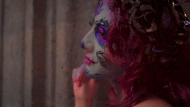 19135514-hd_1920_1080_30fps
