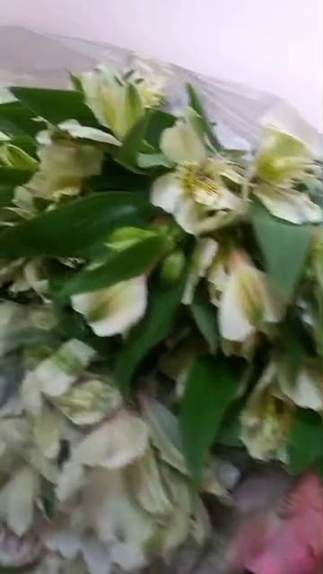 Еще цветы