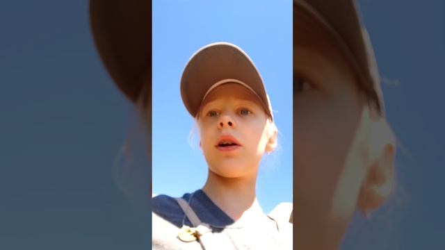 гуляем с щенятами