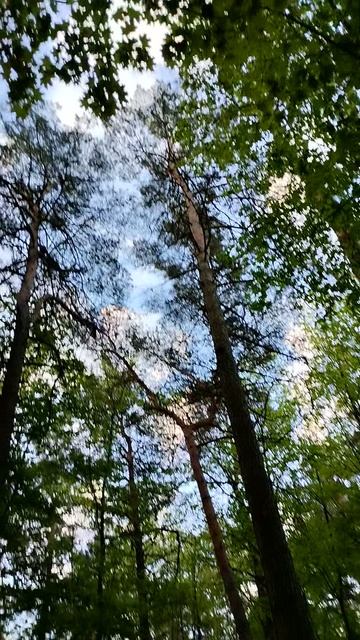 PXL_20240502_053355108