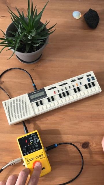 SAMOGOCHI - Casio vl-tone loop jam (2025)