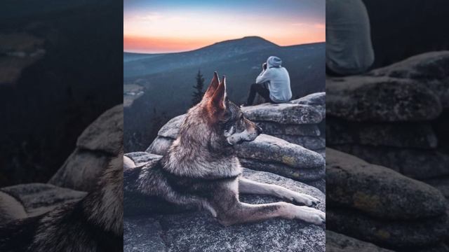 самовольные аккорды.mp4