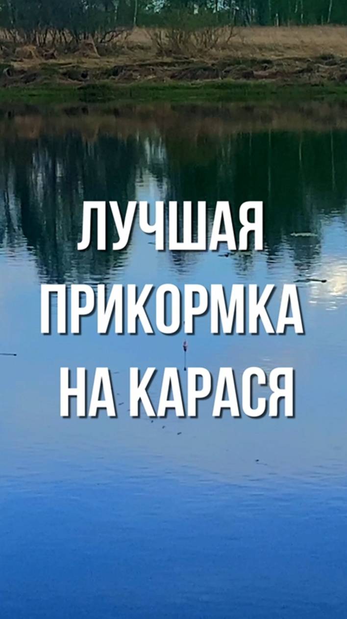 Лучшая прикормка на карася