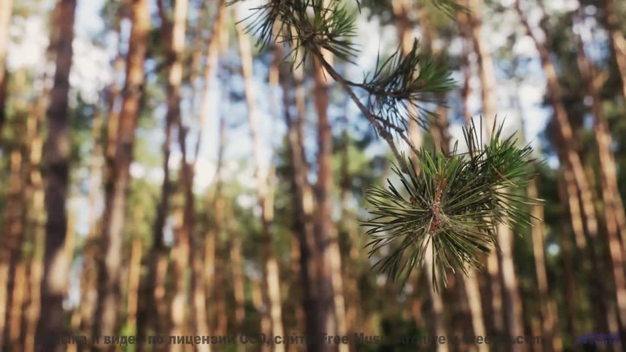 Песни для тех, кто измеряет расстояния не километрами, а эмоциями - Lulu -- Ayla Nereo -- Play Me a