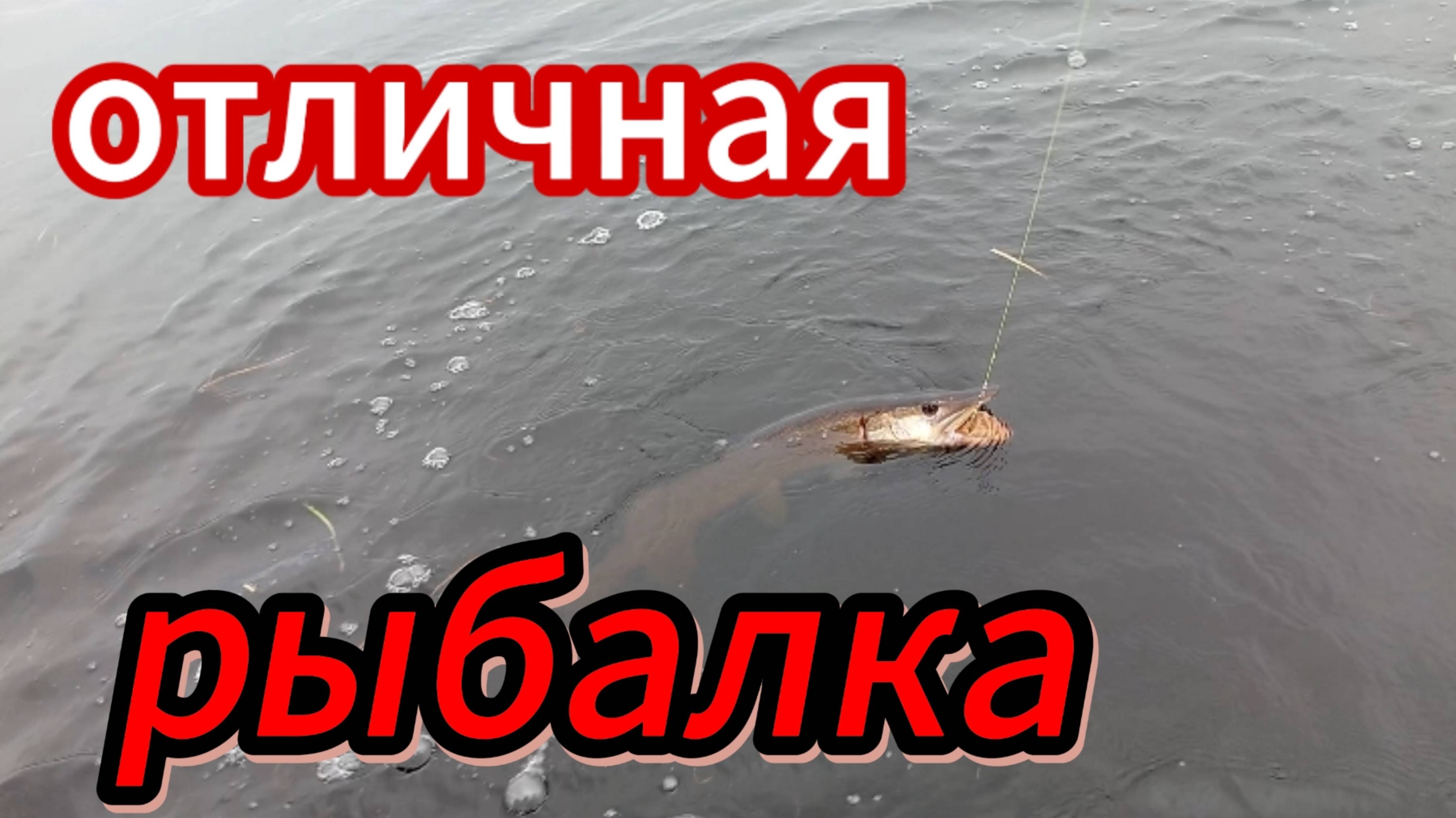 Рыбалка со спиннингом, отличная рыбалка