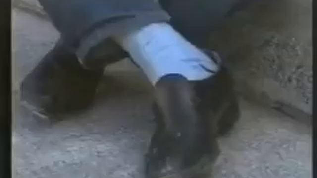 Ленинцы