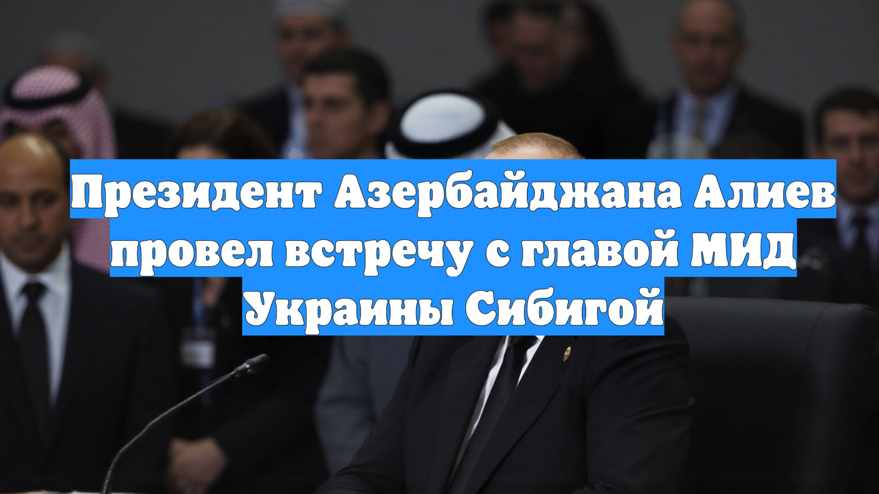 Президент Азербайджана Алиев провел встречу с главой МИД Украины Сибигой