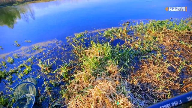 Рыбалка в апреле на поплавок. Красивый закат в тихом м?
