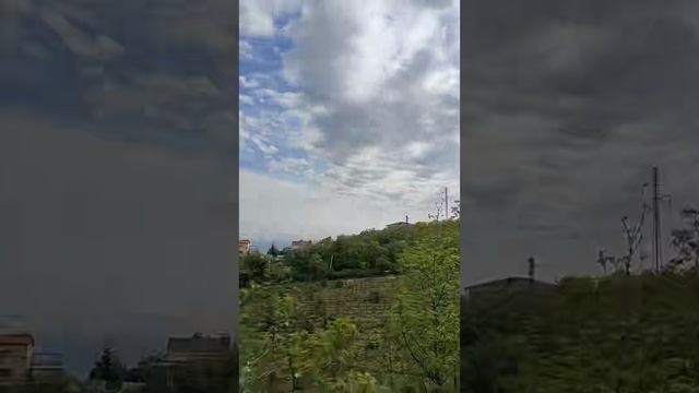 Хроники ветролистья: день в тени кроны
