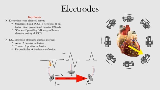5.Electrodes