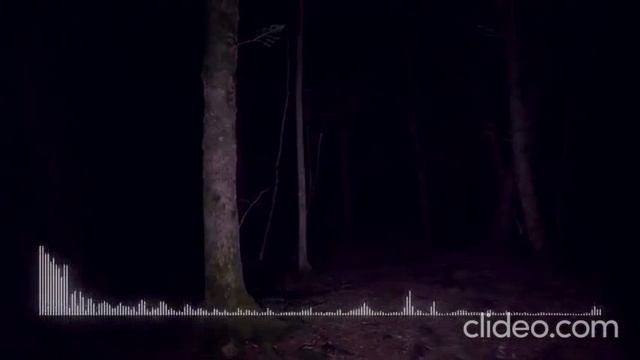 страшные истории. подвезли бабку на кладбище ночью