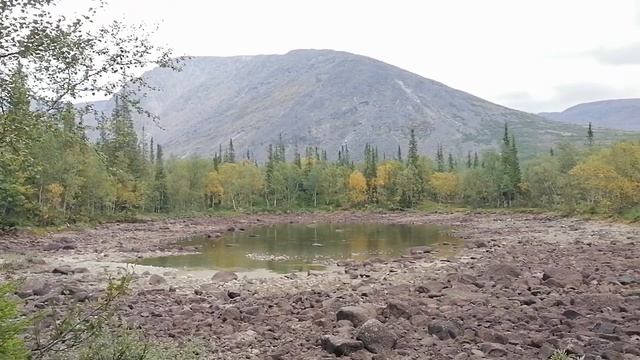 Таёжное озеро в Хибинах. Долина реки Малая Белая. 16.08.202