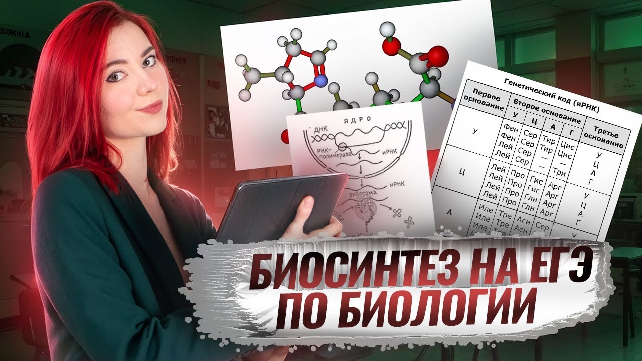 Решаем задачи на БИОСИНТЕЗ из ЕГЭ по биологии 27 задание I Умскул