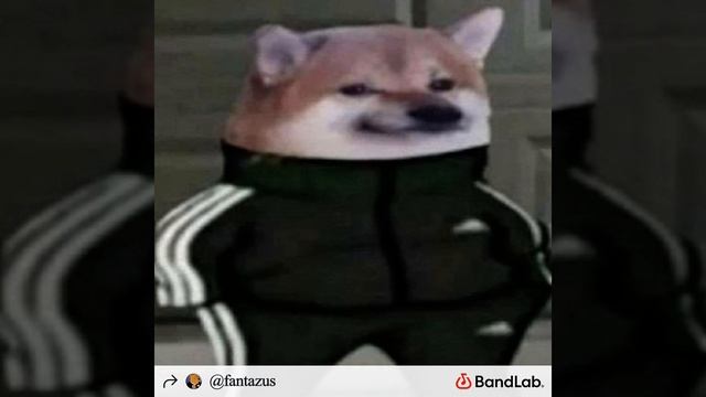 на разгонé на плюс вайбé