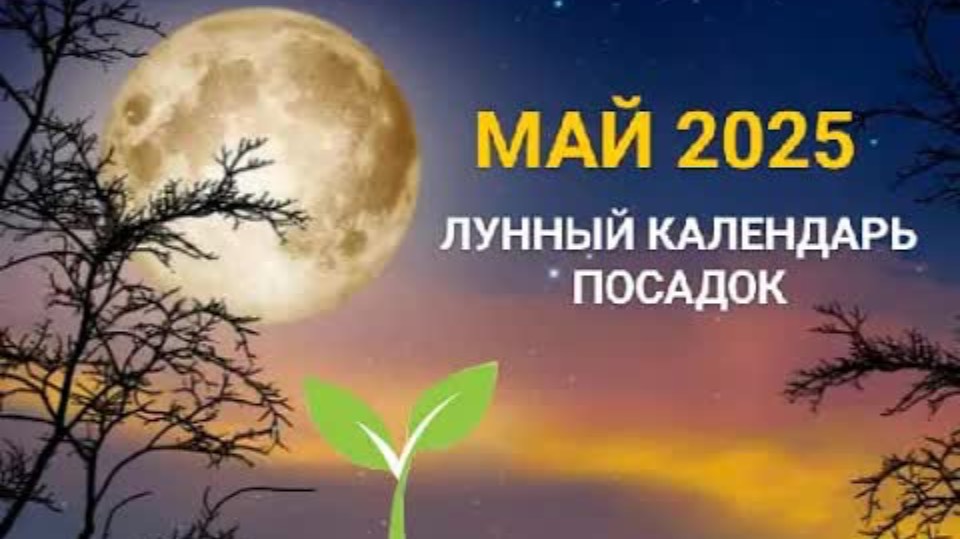 Лунный Календарь Правильная Высадка Рассады.