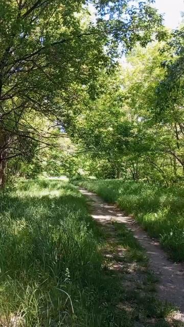 25.05.2025 #сегоднятак #сегодня #природа #nature #oggicosì #бүгін #oggi #hoy #今日 #today #오늘 #자연 #自然