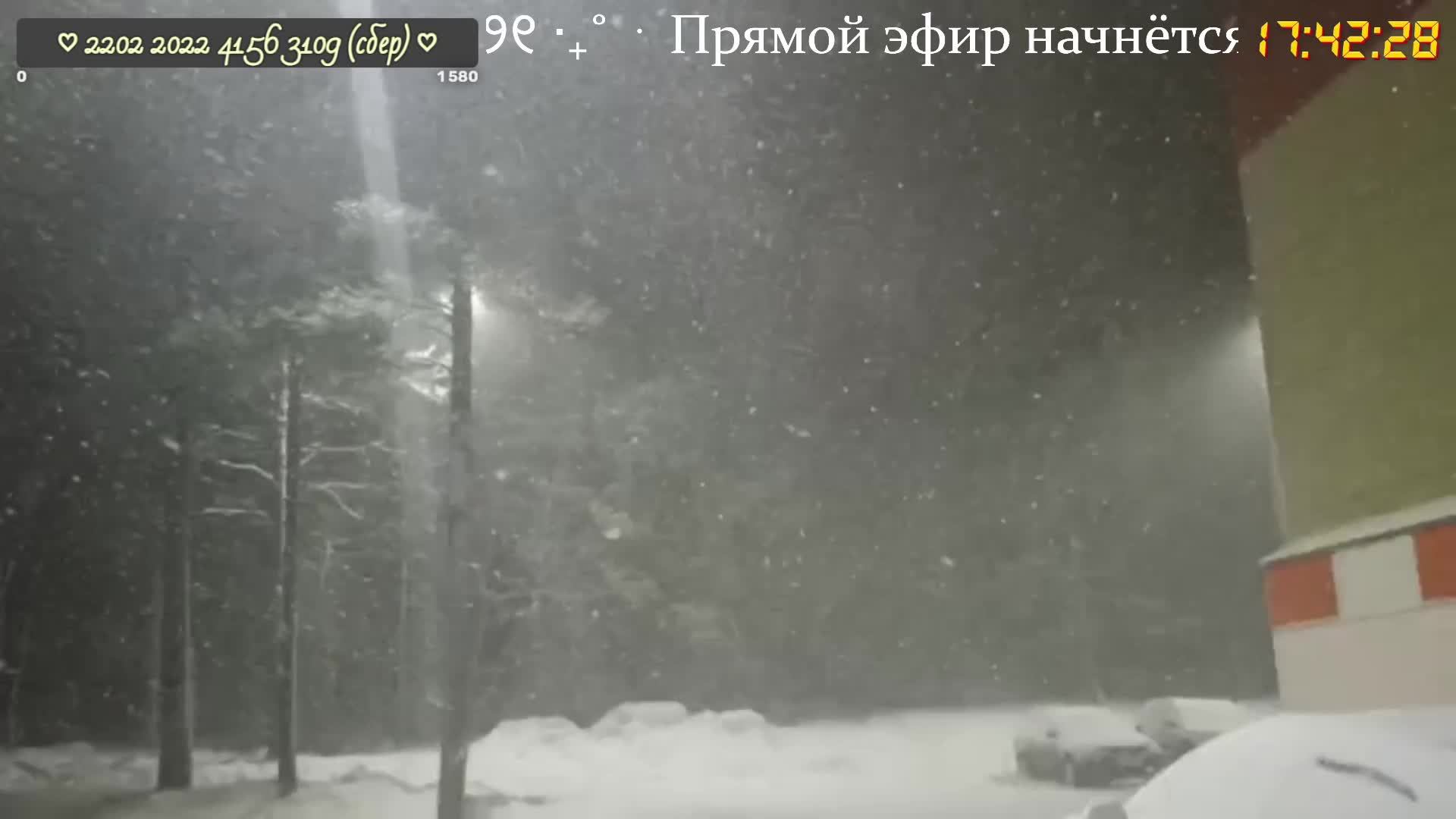 В гостях у Натальи Шитовой (25.05.25)