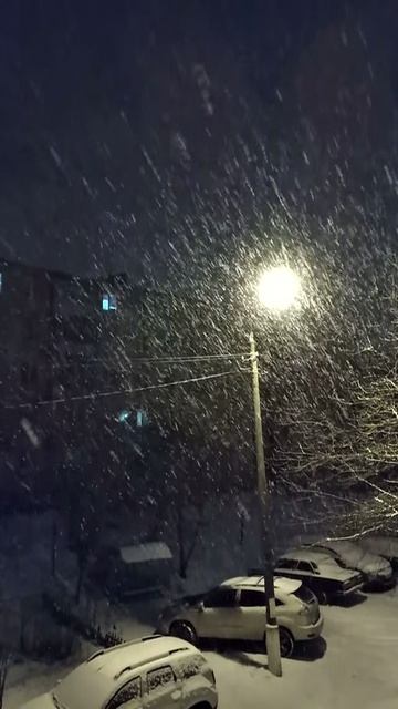 VID_20200206_183530