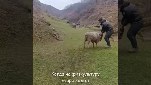 Когда не пропускал прышки через козла на физкультуре