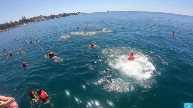 купание в открытом море