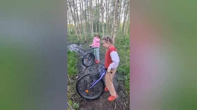 Наша поездка к Петровскому пруду на велосипедах