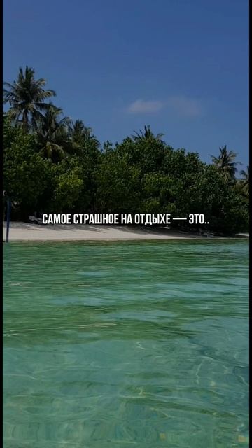 Воспоминания бесценны 🌞