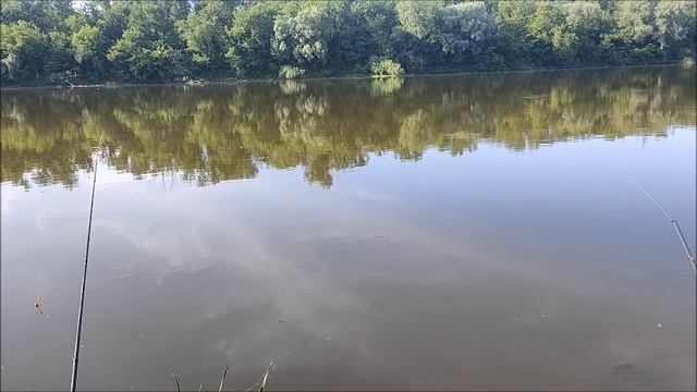 Рыбалка на реке Дон, напротив Новогремячья, 25.05.2025 года