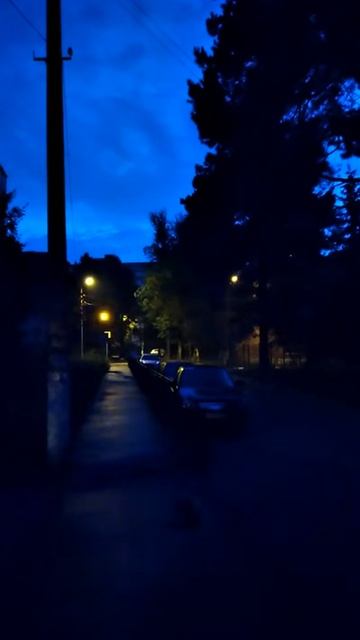 VID_20210826_044746