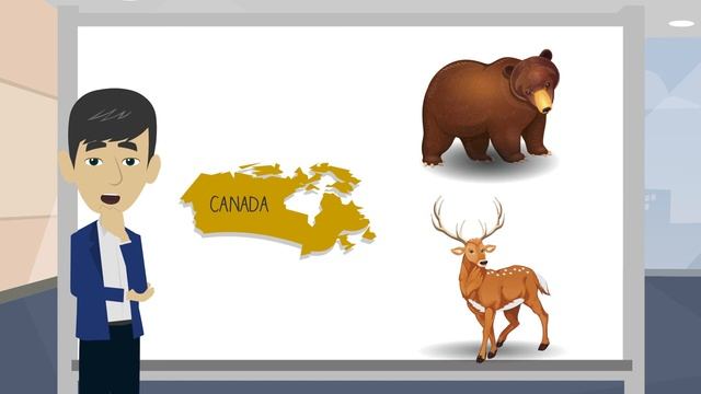 Pets and Animals Around the World